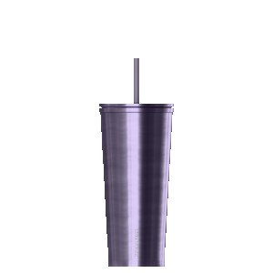 HydraPeak 25oz Traveler with Straw Lid 2