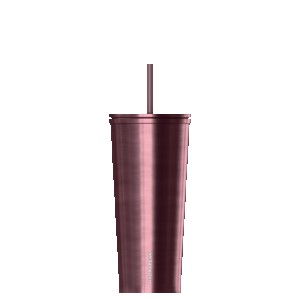 HydraPeak 25oz Traveler with Straw Lid 2