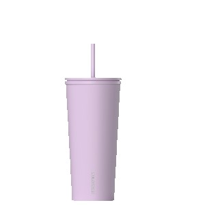 HydraPeak 25oz Traveler with Straw Lid 2