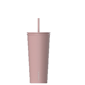 HydraPeak 25oz Traveler with Straw Lid 2