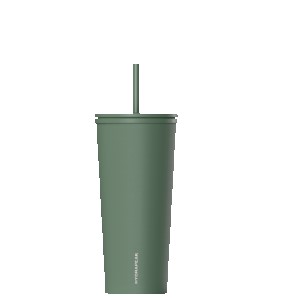 HydraPeak 25oz Traveler with Straw Lid 2