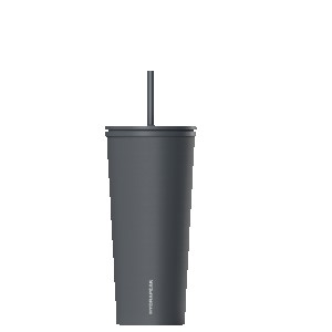 HydraPeak 25oz Traveler with Straw Lid 2