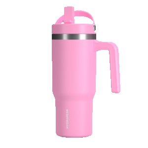 HydraPeak 18oz Voyager With Straw Lid 2