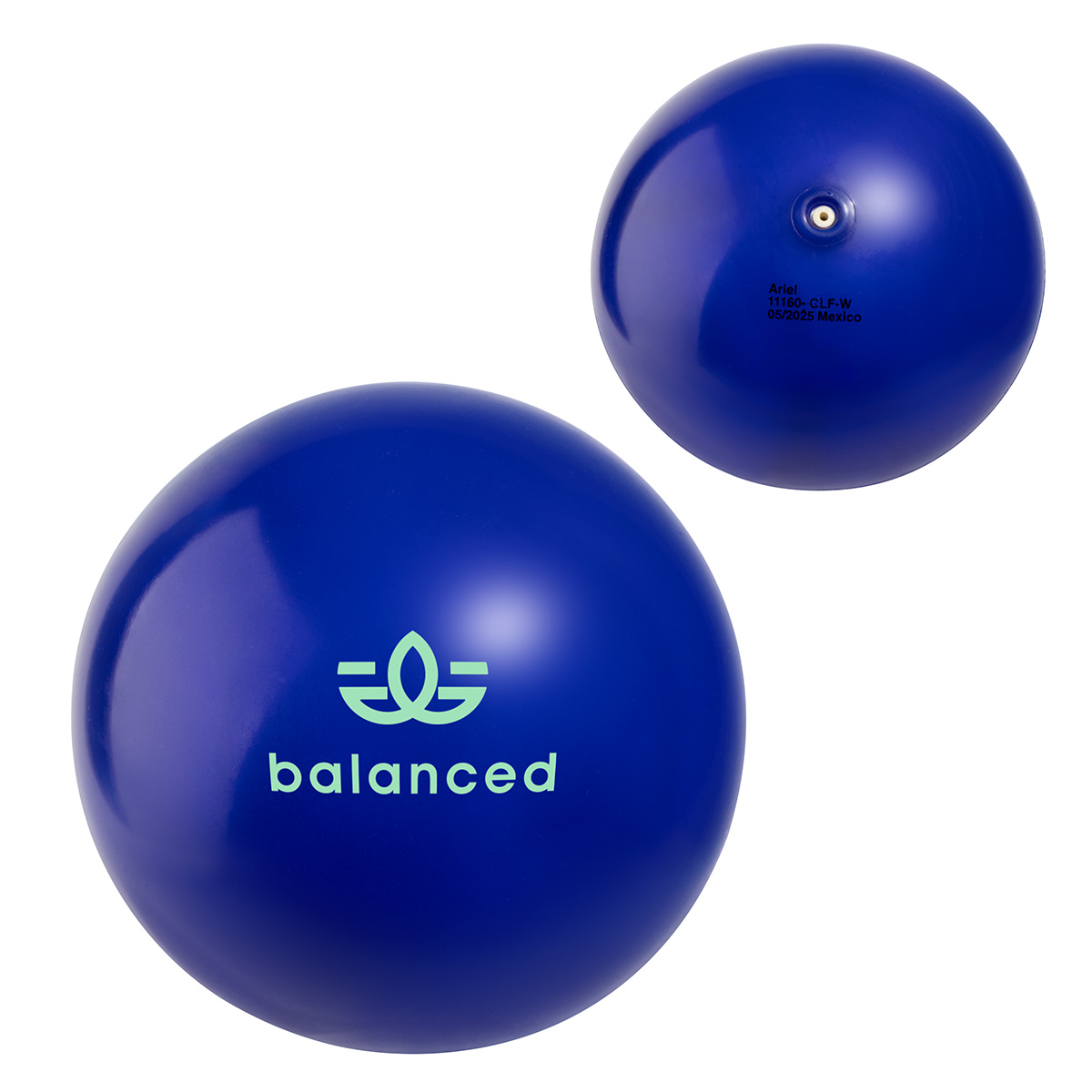 Solid 4" Vinyl Ball 1
