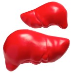 Liver Stress Reliever - Red Liver Stress Reliever - Red