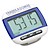Widescreen Walker Pedometer 1