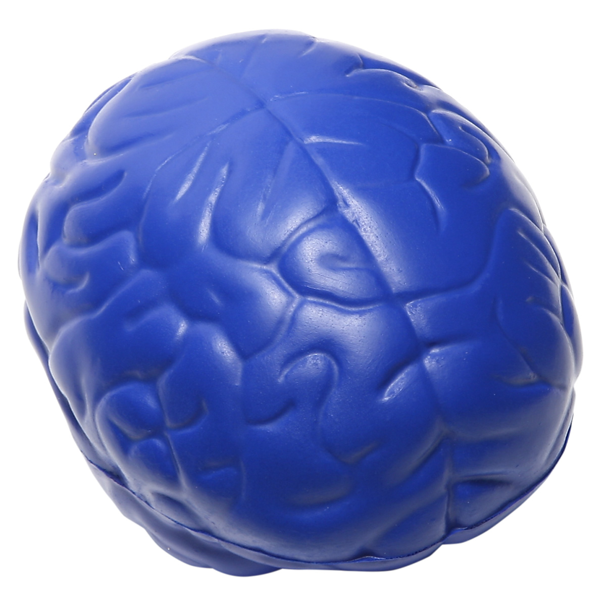 Brain Slo-Release Serenity Squishy™ 1