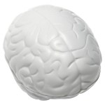 Brain Slo-Release Serenity Squishy™ - White Brain Slo-Release Serenity Squishy™ - White