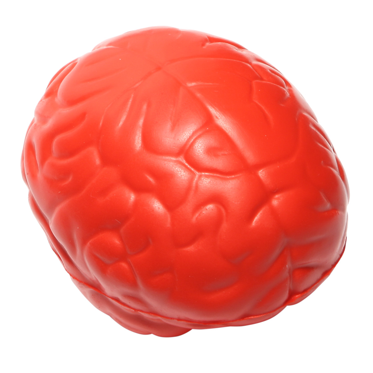 Brain Slo-Release Serenity Squishy™ 1