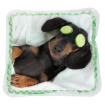 Chill Square Aqua Pearls™ Hot/Cold Pack 2 Chill Square Aqua Pearls™ Hot/Cold Pack 2