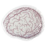 Brain Hot/Cold Pack - White Brain Hot/Cold Pack - White