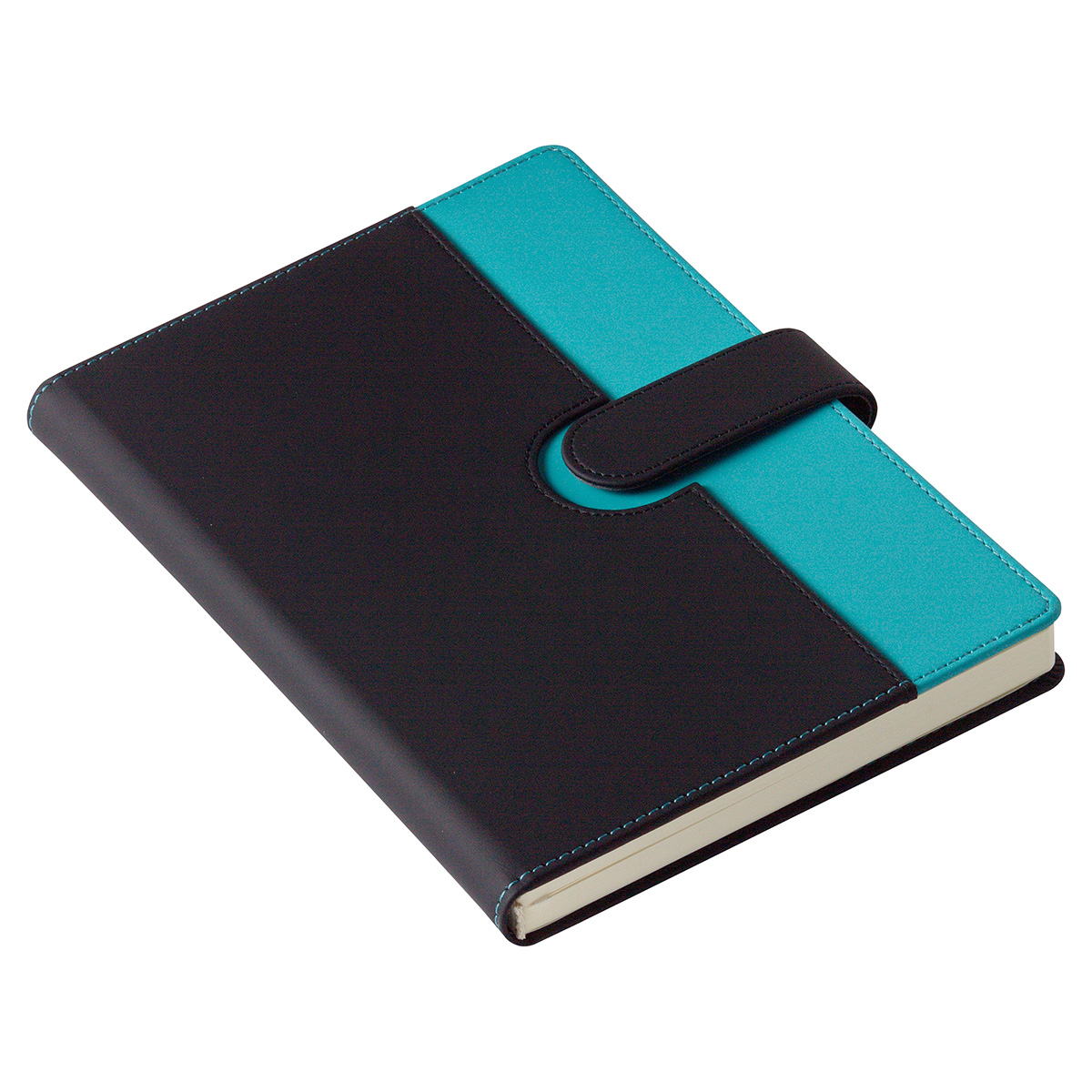 Chic Journal with Magnetic Closure 1