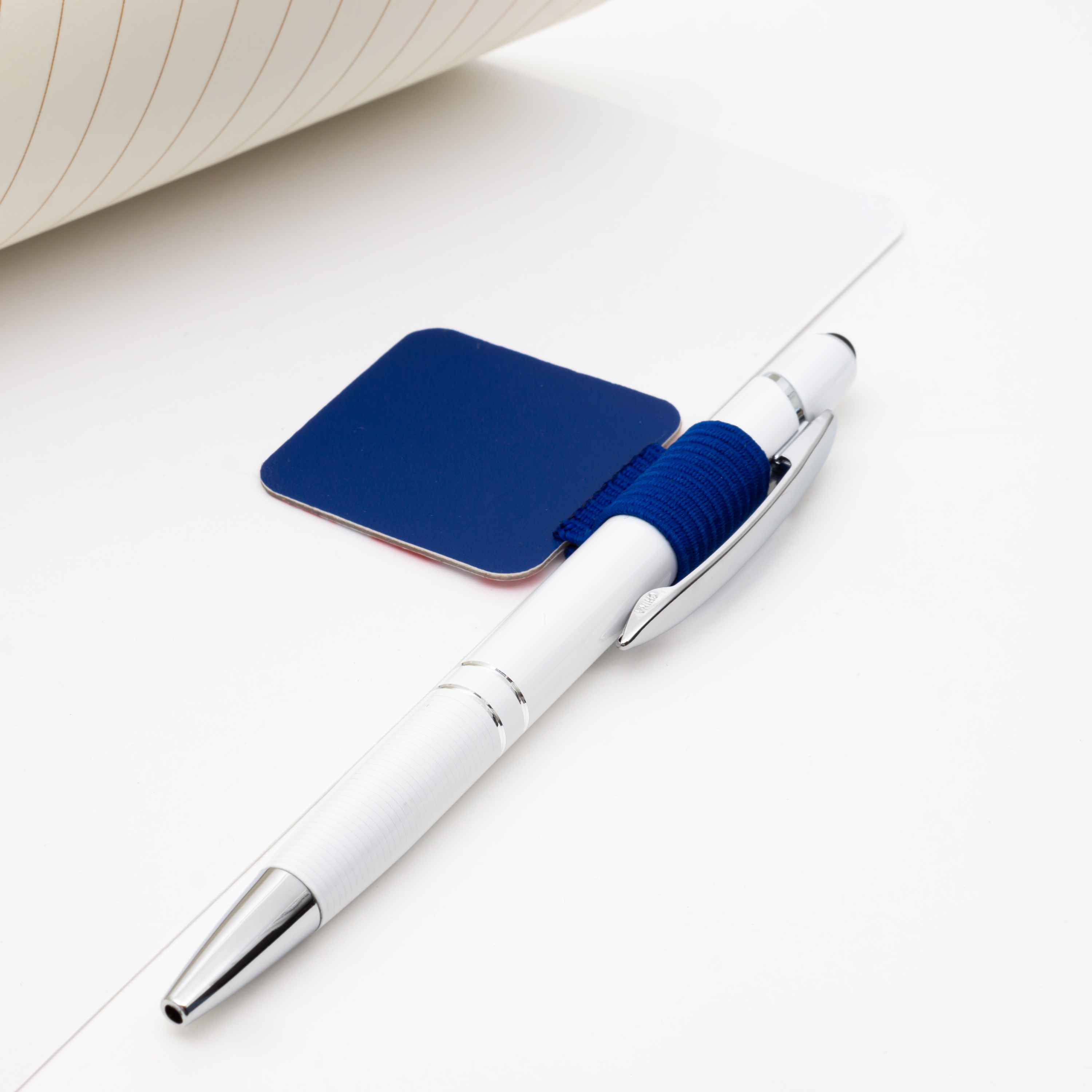 Pen Loop 1