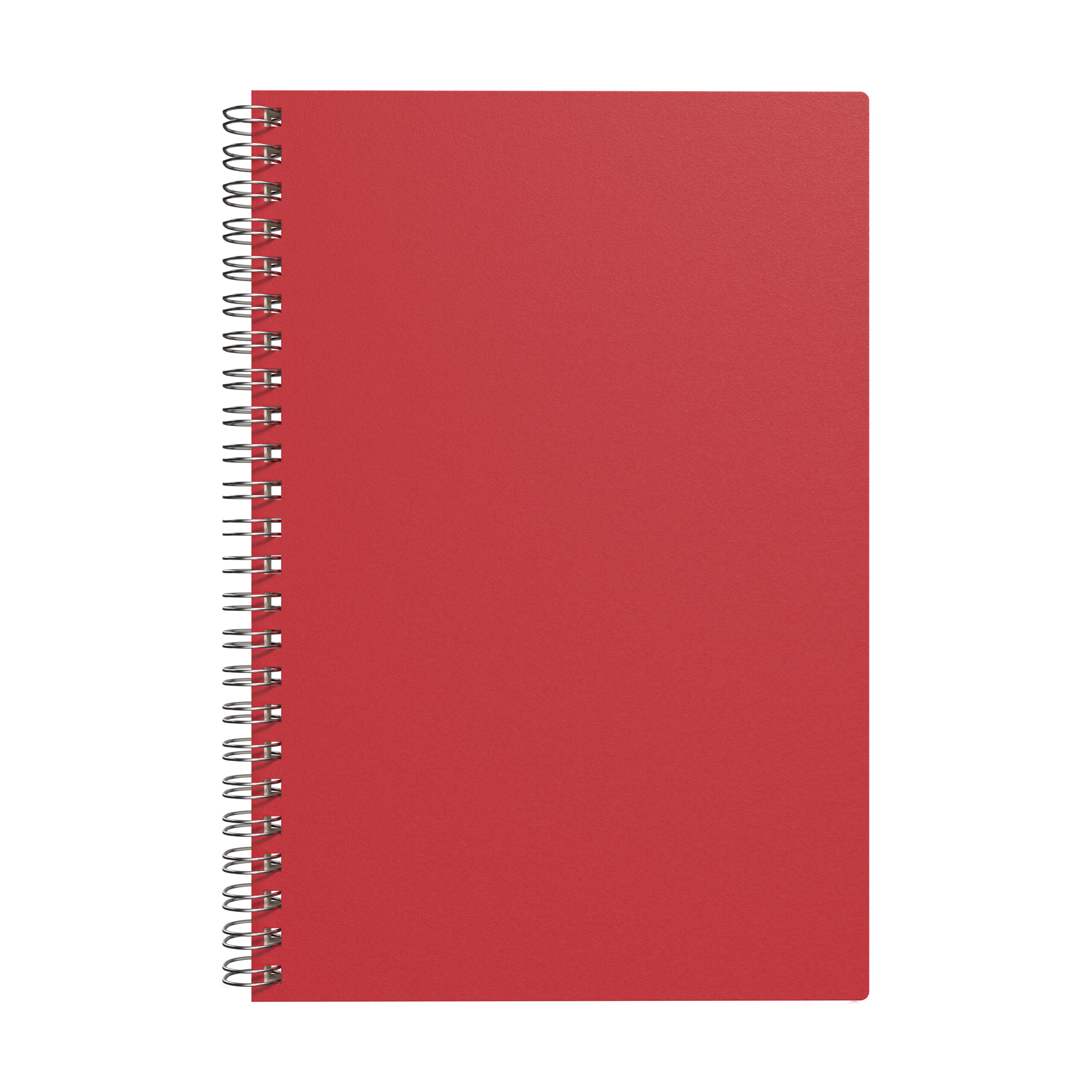 Neoskin Spiral Journal 1