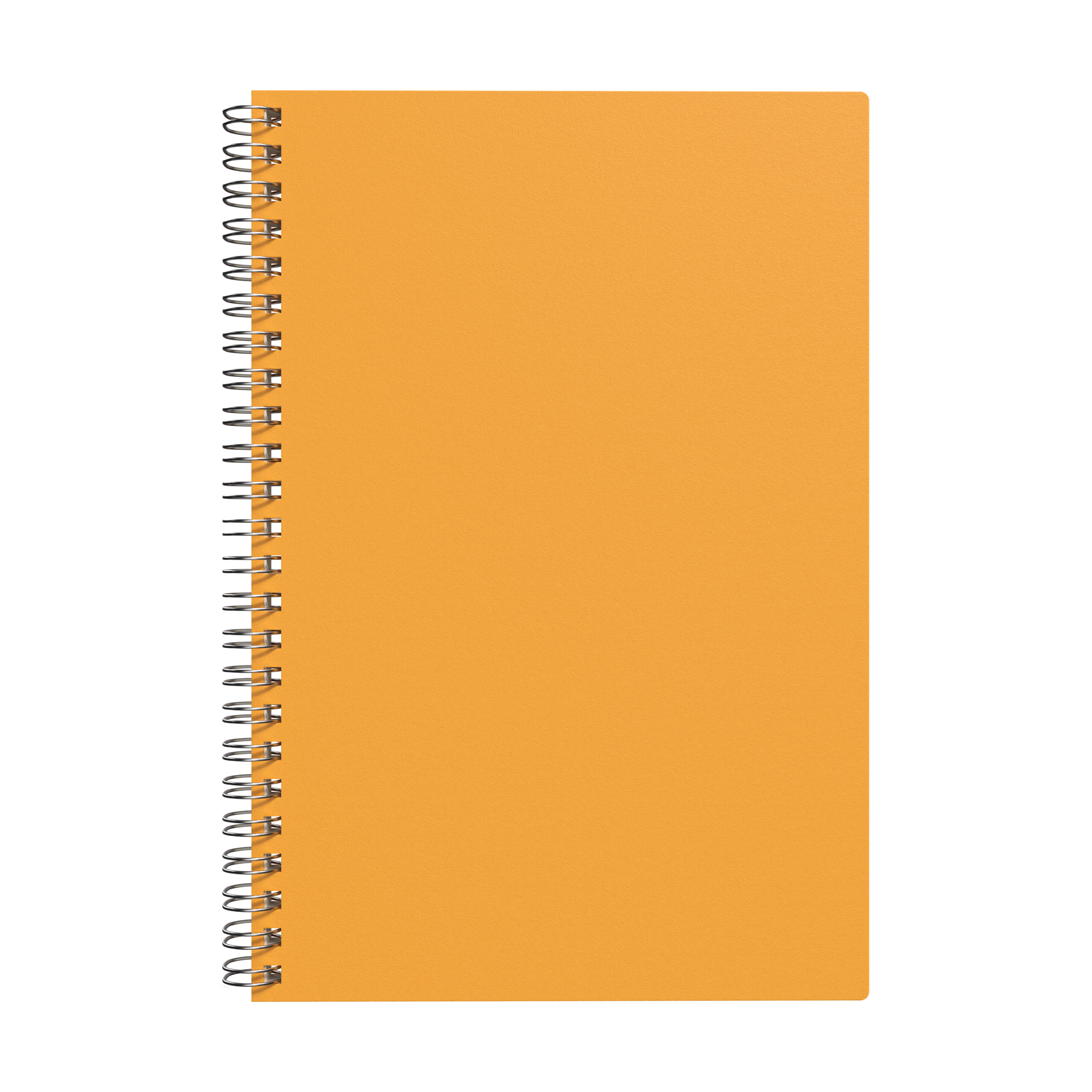 Neoskin Spiral Journal 1