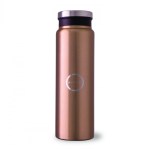 Trend Setter Metallic 600 Ml / 20 Oz Stainless Steel Bottle 1 Trend Setter Metallic 600 Ml / 20 Oz Stainless Steel Bottle 1