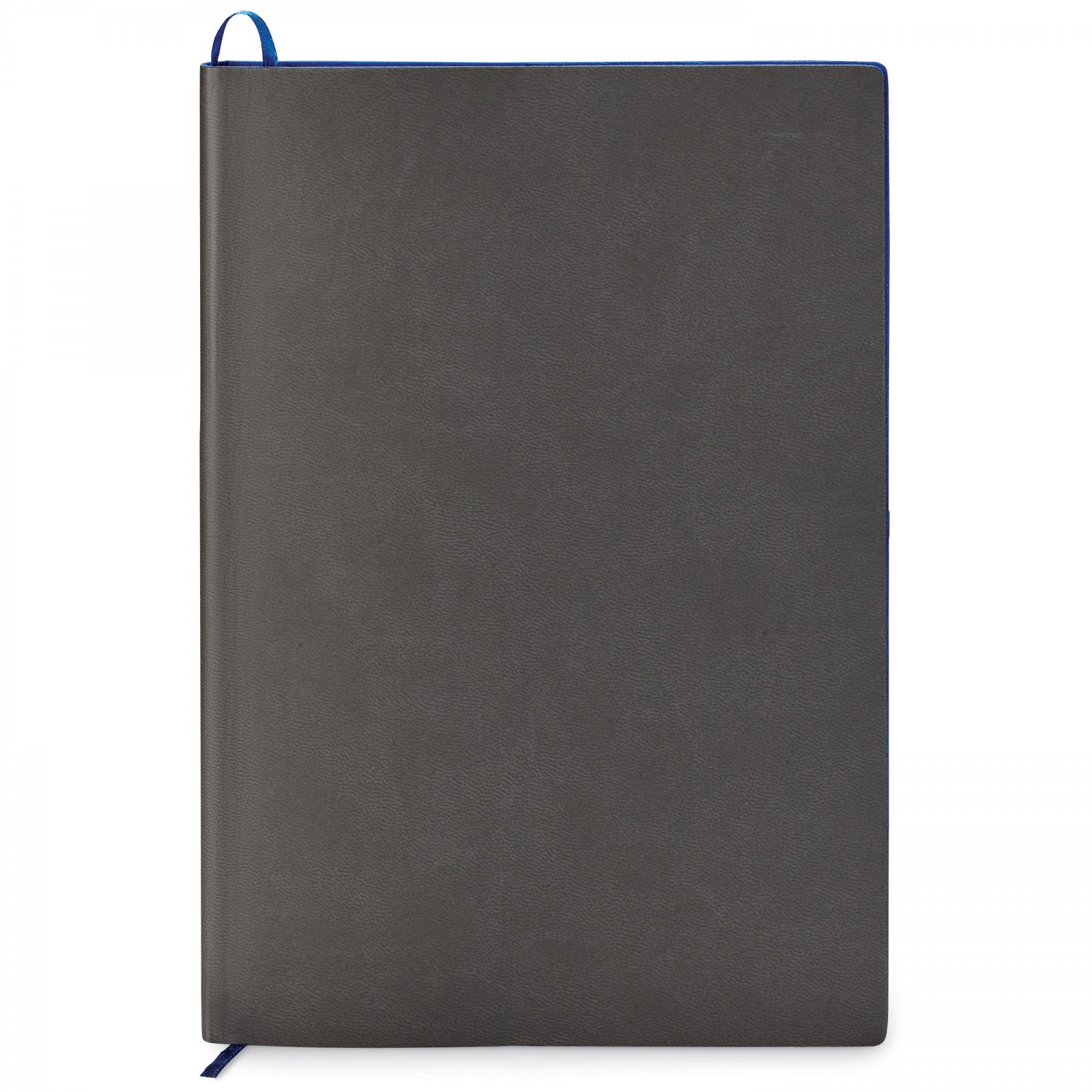Donald Single Meeting Journal 1