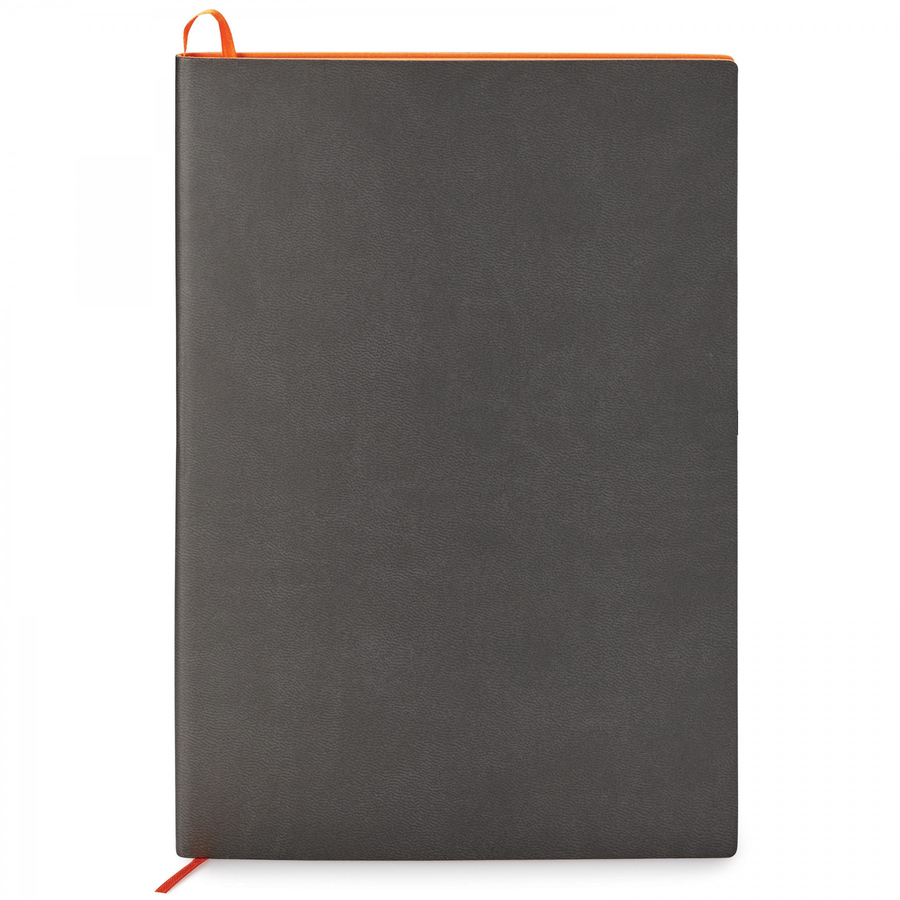 Donald Single Meeting Journal 1