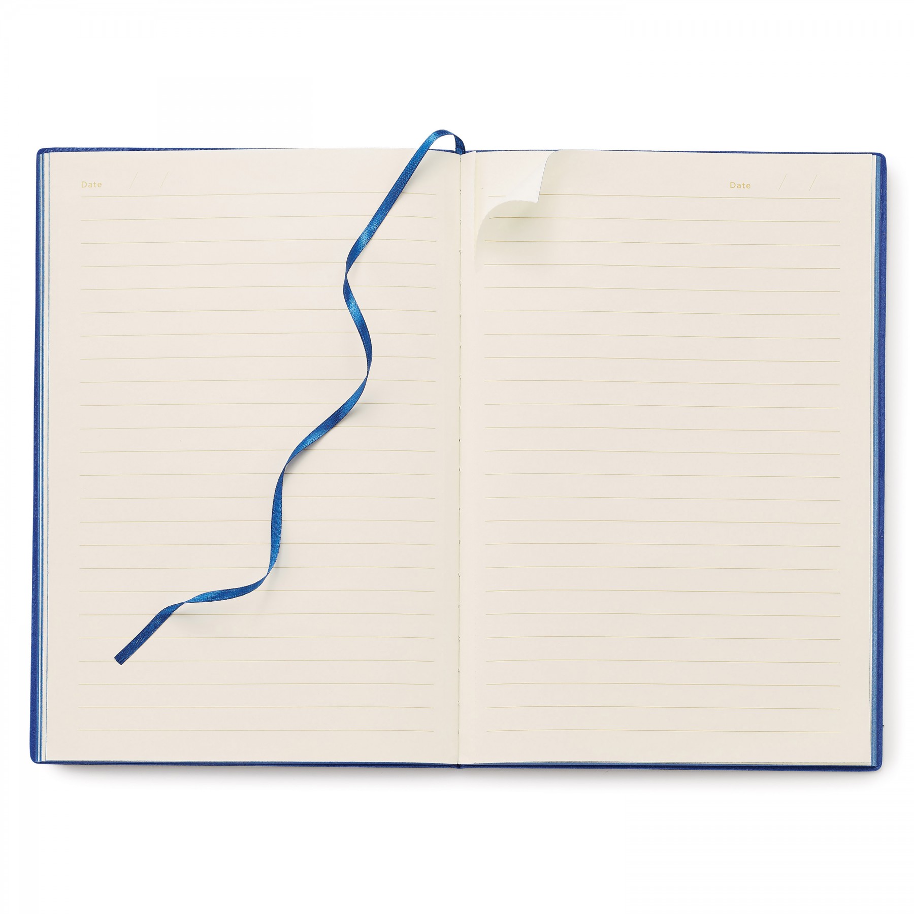 Donald Single Meeting Journal 1