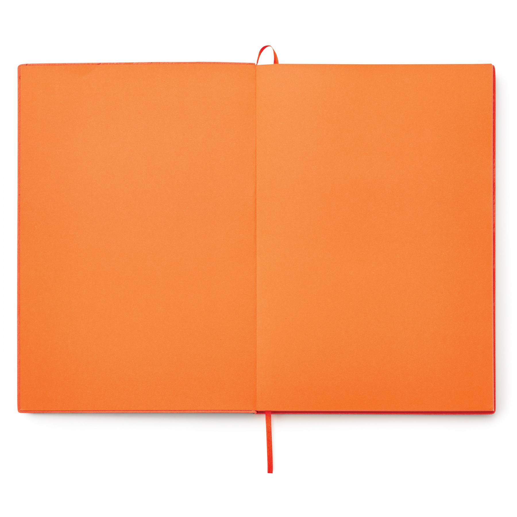 Donald Single Meeting Journal 1