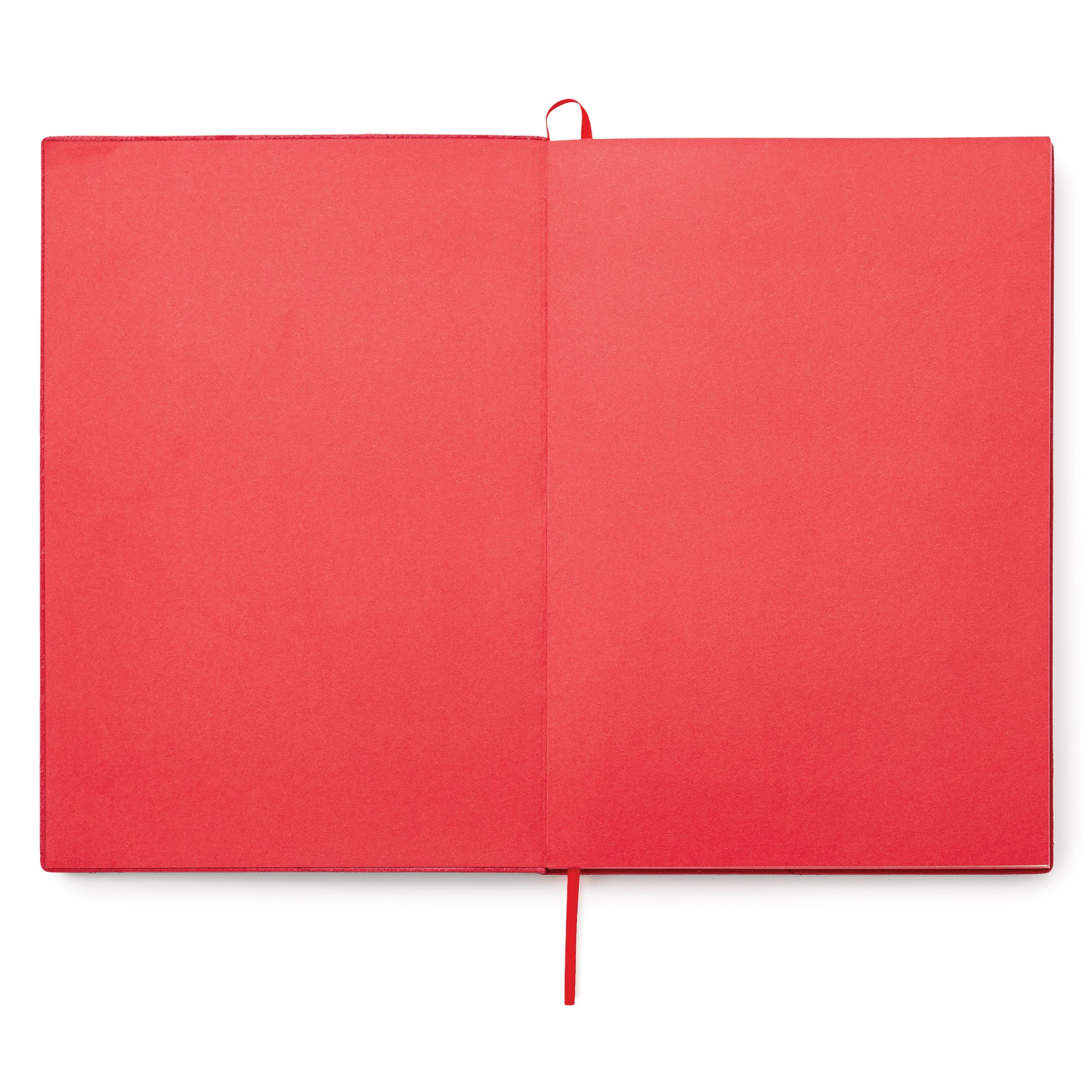 Donald Single Meeting Journal 1