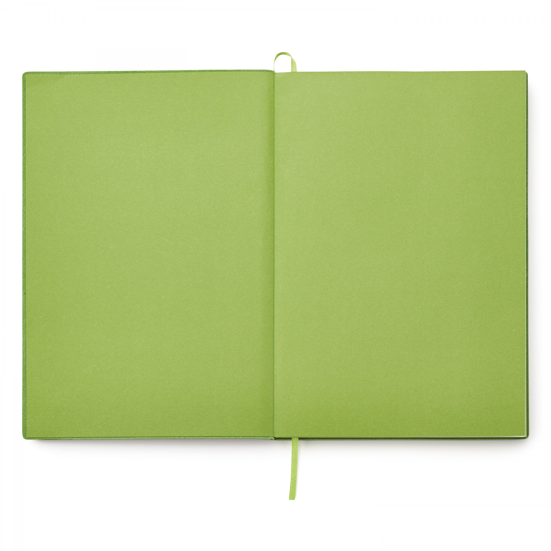Donald Single Meeting Journal 1