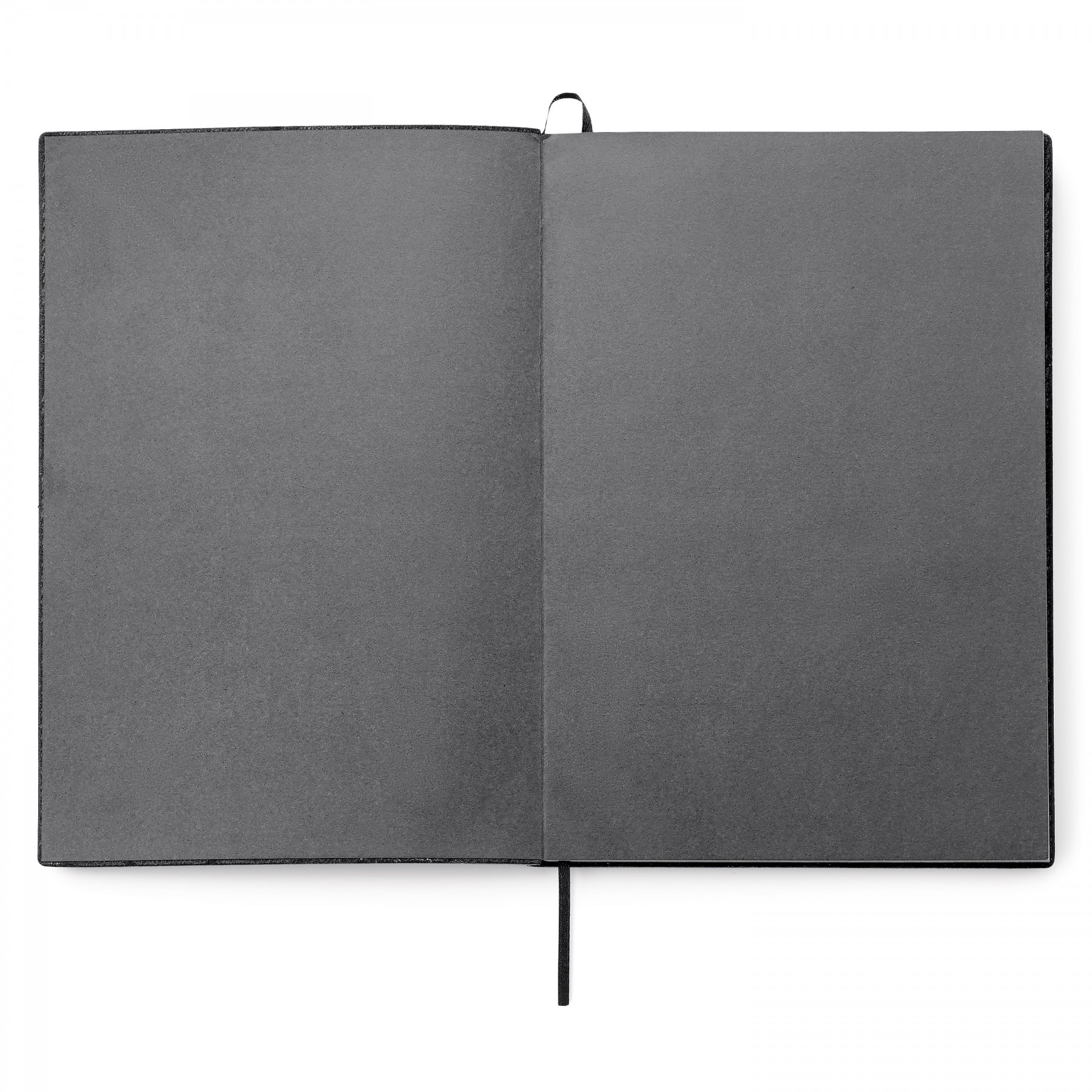 Donald Single Meeting Journal 1