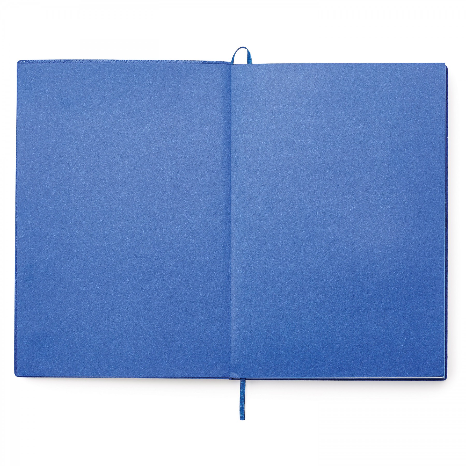 Donald Single Meeting Journal 1