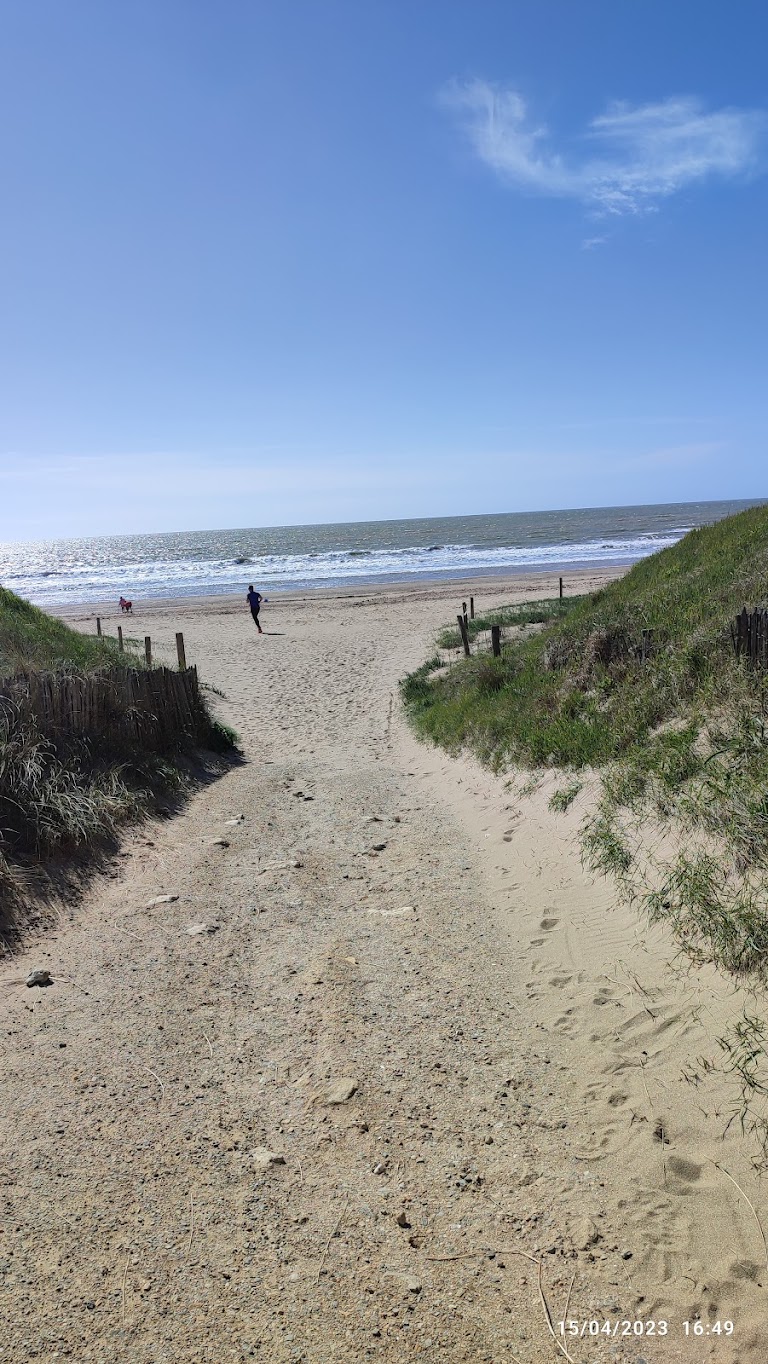 Plage des Lays Plage des Lays