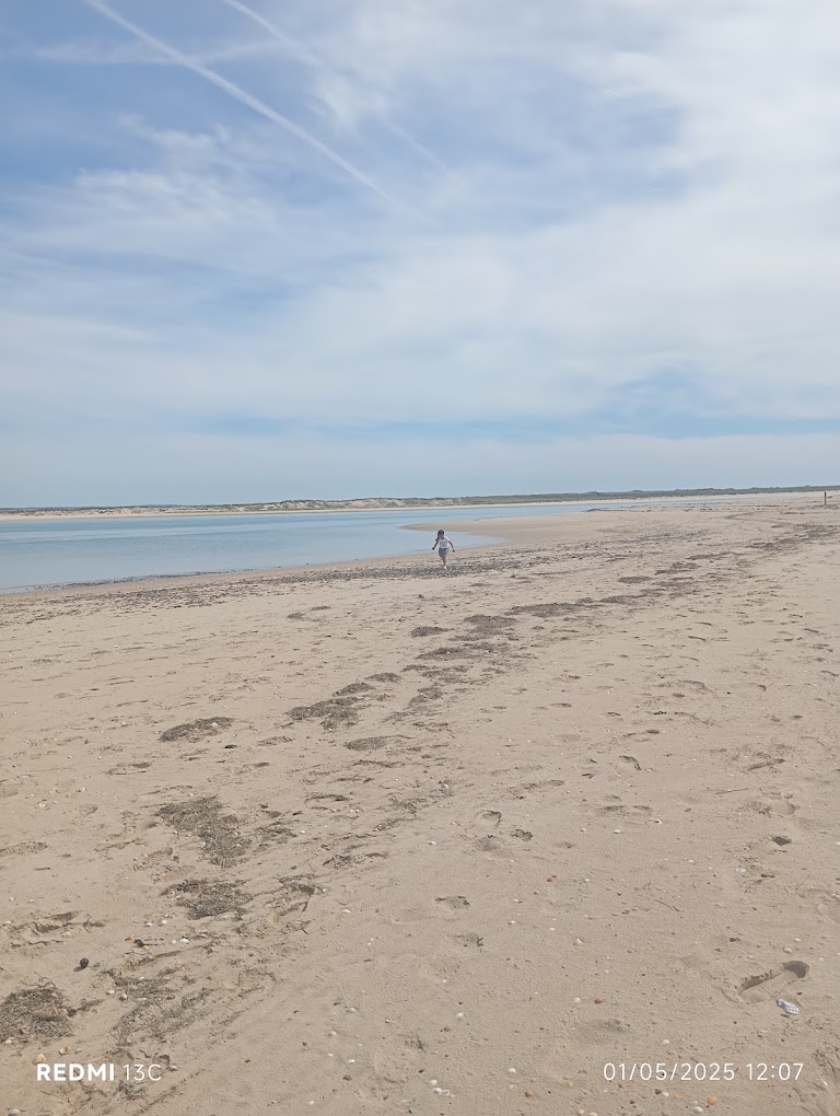 Plage naturiste DE LA POINTE DU BANC Plage naturiste DE LA POINTE DU BANC