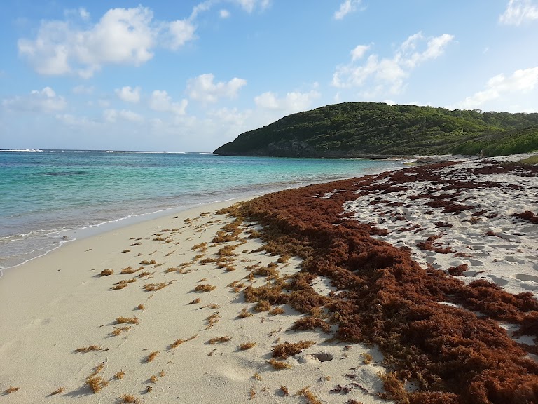 Anse Feuillard Anse Feuillard