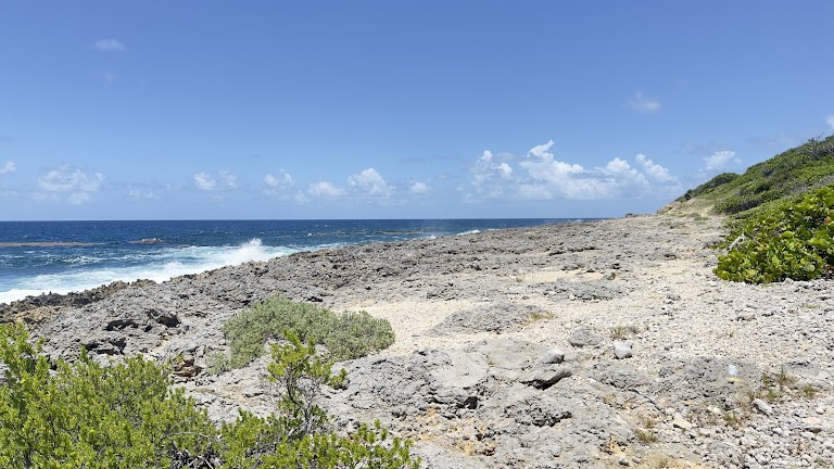 Plage d’anse feuillard Plage d’anse feuillard