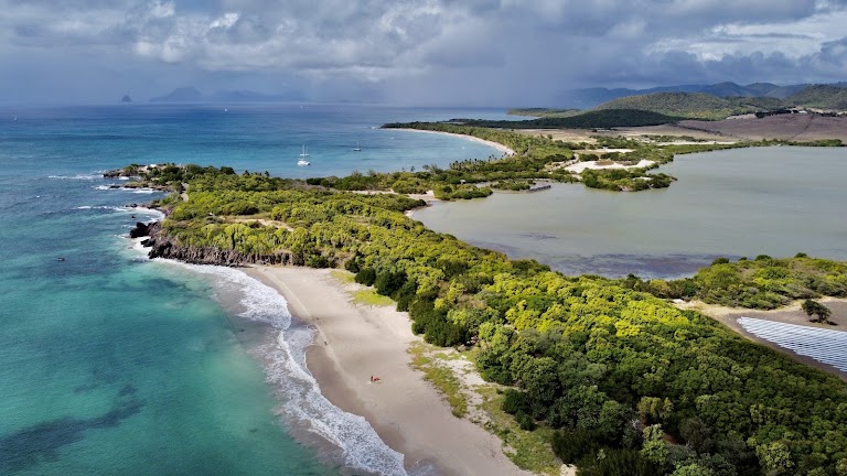 Grande terre Grande terre