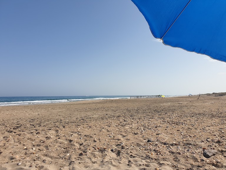 Plage Jalabert Accès 63 naturiste Plage Jalabert Accès 63 naturiste