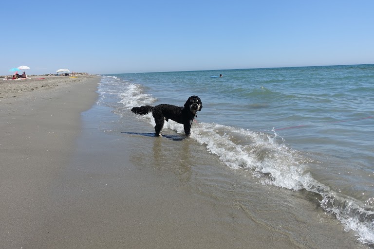 Plage-Est Plage-Est