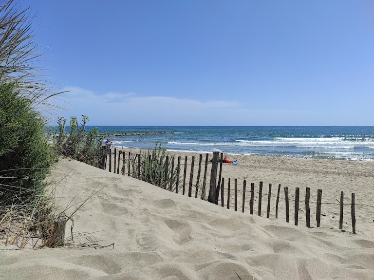Plage naturiste de l’Espiguette (Les Epis) Plage naturiste de l’Espiguette (Les Epis)