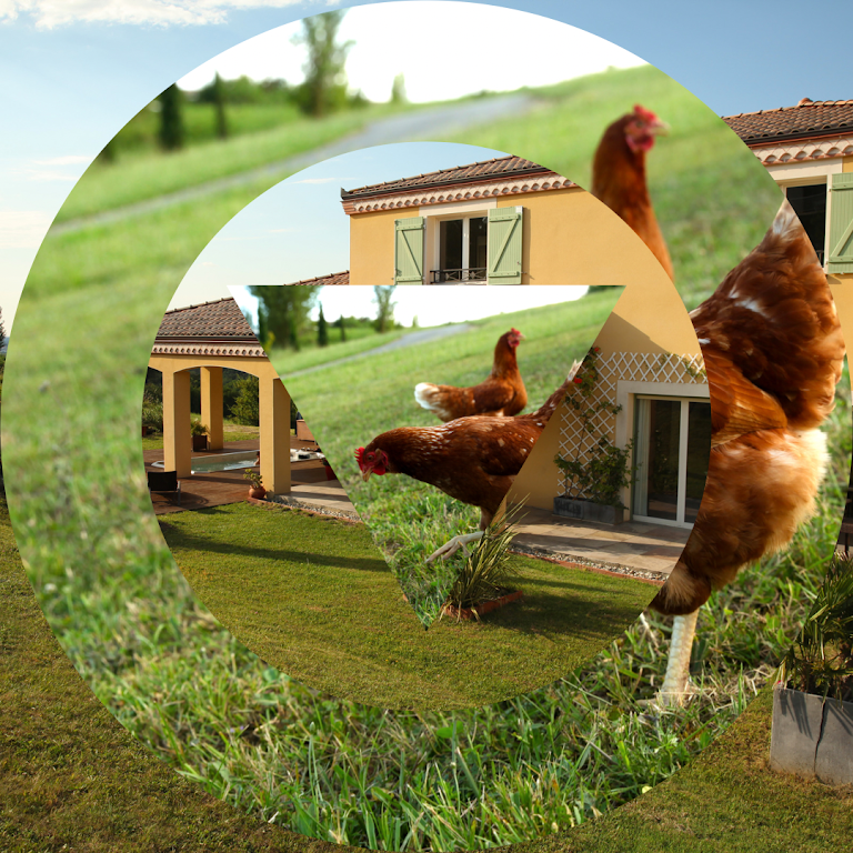 Carpe Diem Tolosa : Chambres d’hôtes et gîte Carpe Diem Tolosa : Chambres d’hôtes et gîte