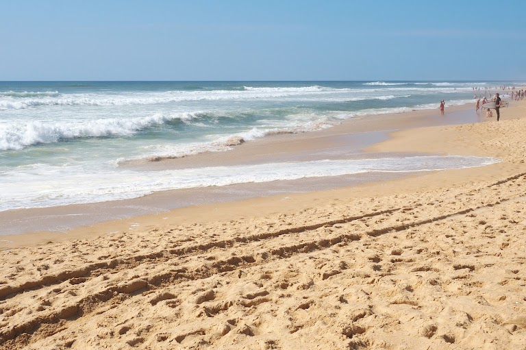 Plage Naturiste d’Hossegor Plage Naturiste d’Hossegor