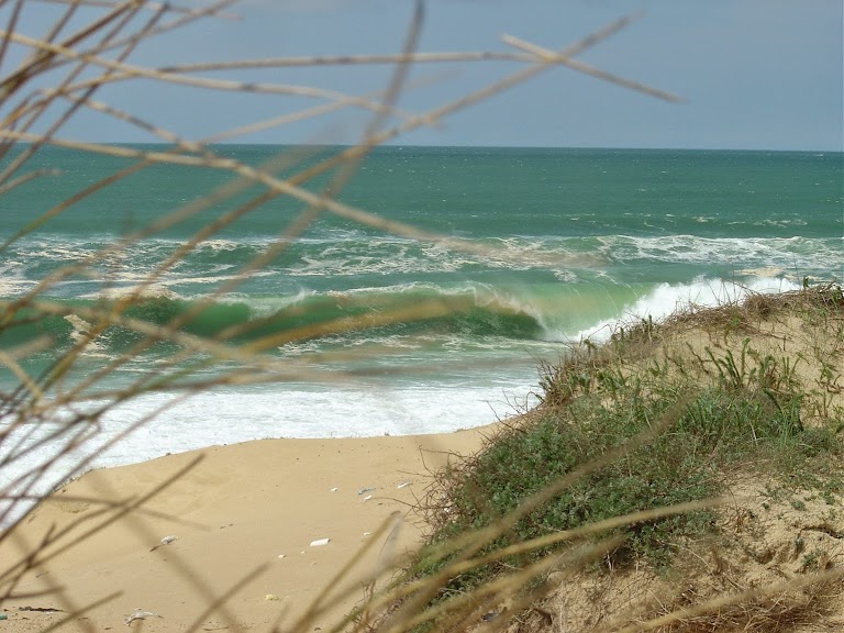 Plage La Pointe Plage La Pointe