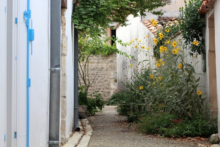 Camping Naturiste Le Petit Dauphin Camping Naturiste Le Petit Dauphin