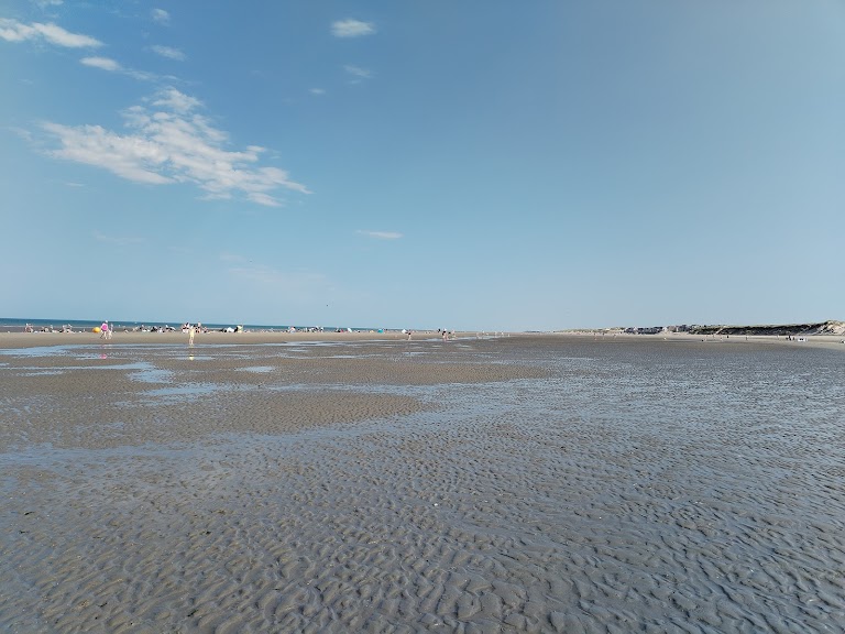 Plage de Quend Marquenterre les bouchots Plage de Quend Marquenterre les bouchots