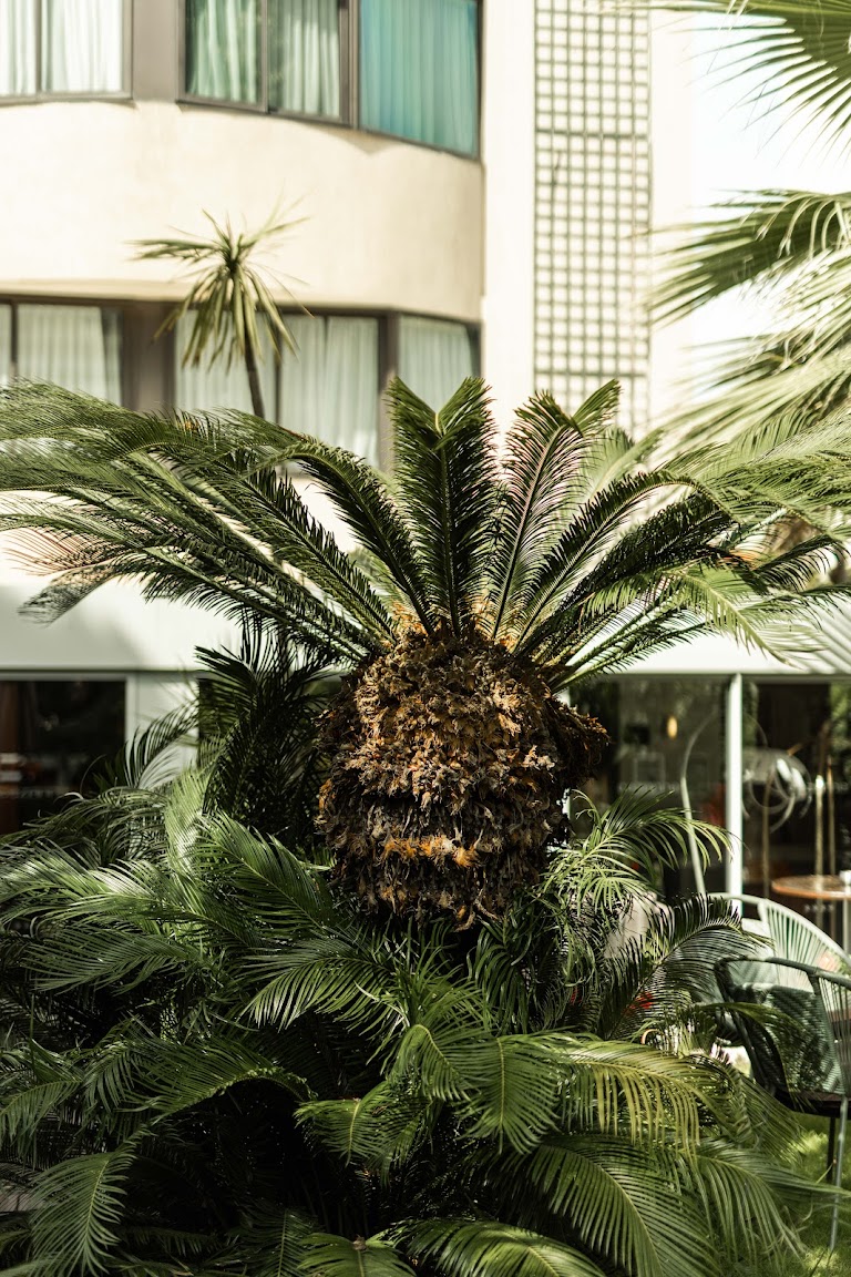 Hôtel Cézanne et Spa Hôtel Cézanne et Spa