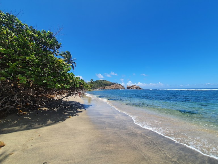 Plage de l’Anse Azérot Plage de l’Anse Azérot