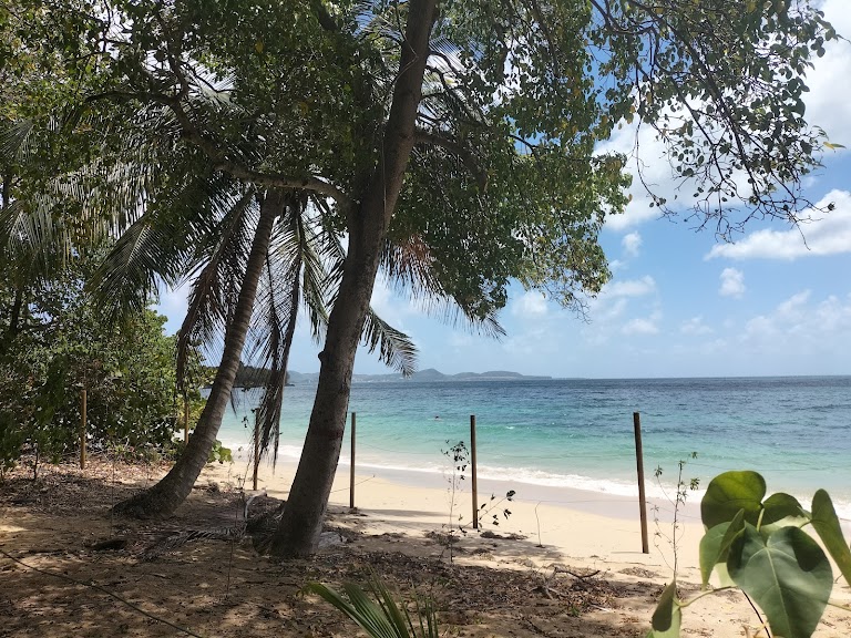 Plage de Gros Raisin Plage de Gros Raisin