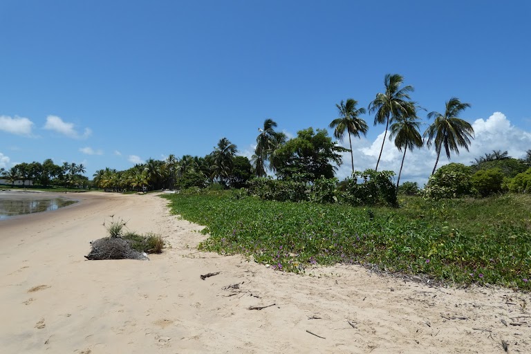 Plage de la Cocoteraie Plage de la Cocoteraie