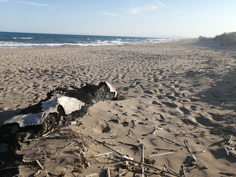 Plage cabane Fleury Plage cabane Fleury