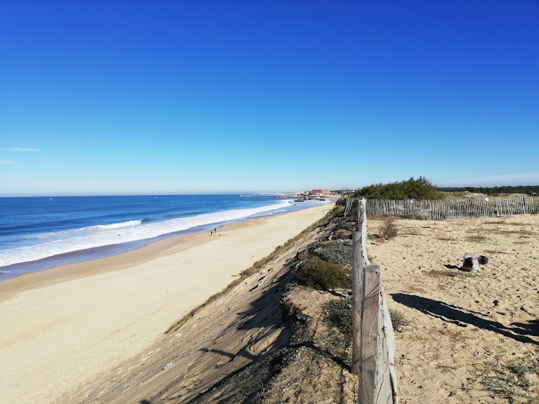 Plage des Océanides Plage des Océanides