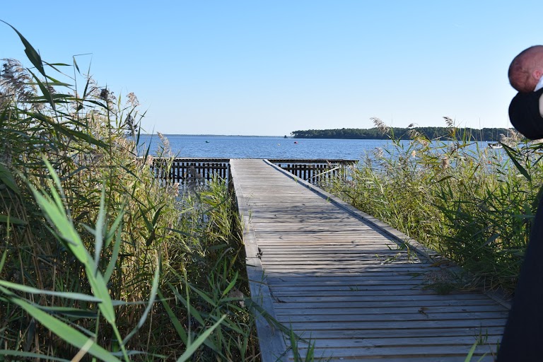 L’Ermitage*** Camping & Nature Lacanau L’Ermitage*** Camping & Nature Lacanau