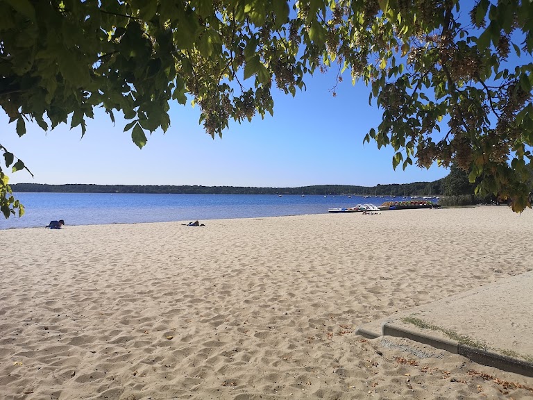 Plage du Moutchic Plage du Moutchic