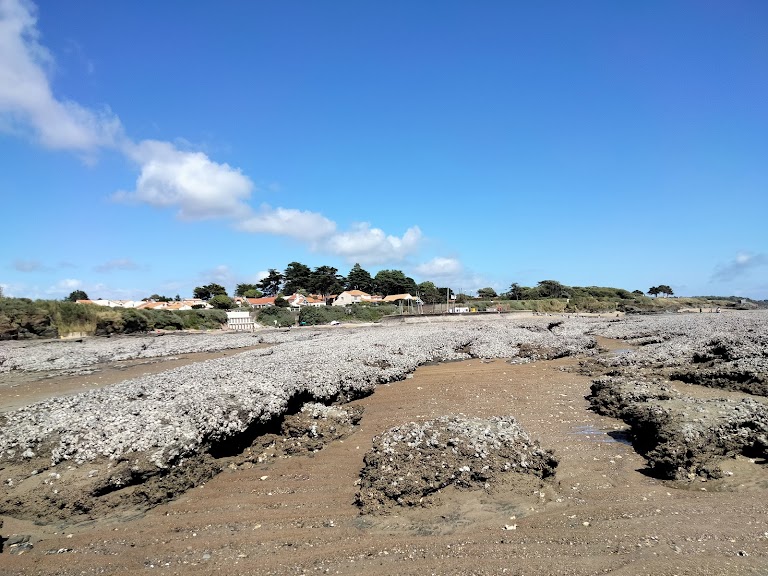 Plage de la Joselière Plage de la Joselière